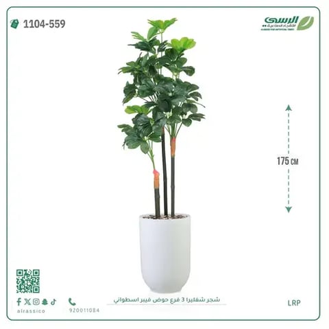 شجرة شيفليرا صناعية (ارتفاع 175 سم) بحوض فيبر