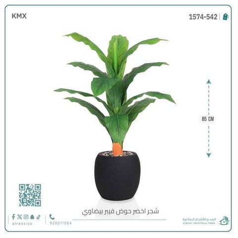 شجرة ورق موز حوض فيبر بيضوي