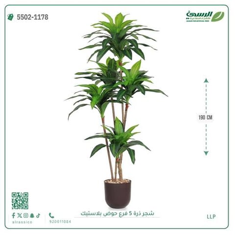 شجرة ذرة صناعية (5 فروع) ارتفاع 190 سم حوض بلاستيك