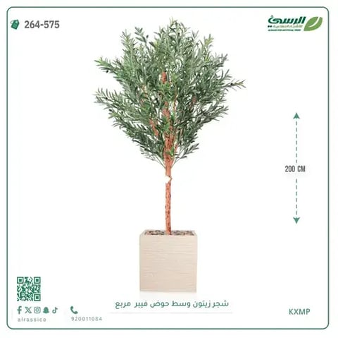 شجرة زيتون صناعية (ارتفاع 200 سم) بحوض فيبر مربع