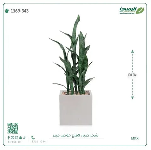 شجر صبار صناعية ( ارتفاع 100 سم ) حوض فيبر