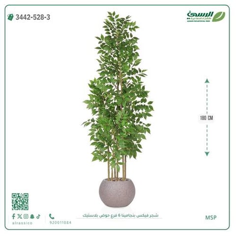 شجرة فيكس بنجامينا صناعية 6 فروع (ارتفاع 180 سم) حوض بلاستيك