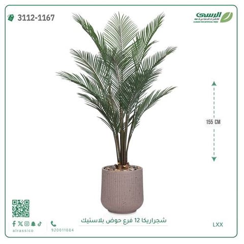 شجرة أريكا صناعية ( ارتفاع 155 سم ) حوض بلاستيك