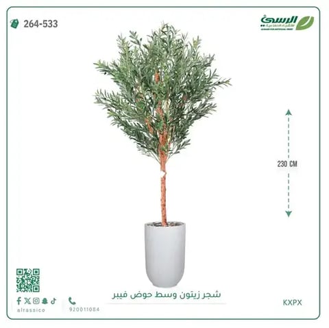 شجرة زيتون صناعية (ارتفاع 230 سم) بحوض فيبر
