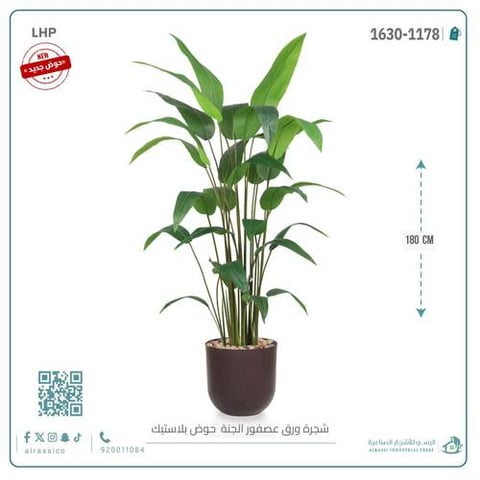 شجرة عصفور الجنة الاصطناعية متوسطة بمركن بلاستيك أسطواني