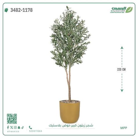 شجرة زيتون صناعية ( ارتفاع 220 سم ) حوض بلاستك