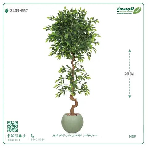 شجرة فيكس صناعية عود مائل (ارتفاع 200 سم) حوض فيبر