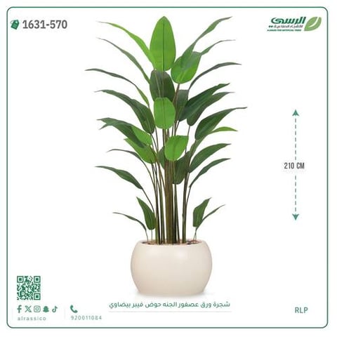شجرة ورق عصفور الجنة صناعية ( ارتفاع 210 سم ) حوض فيبر بيضاوي
