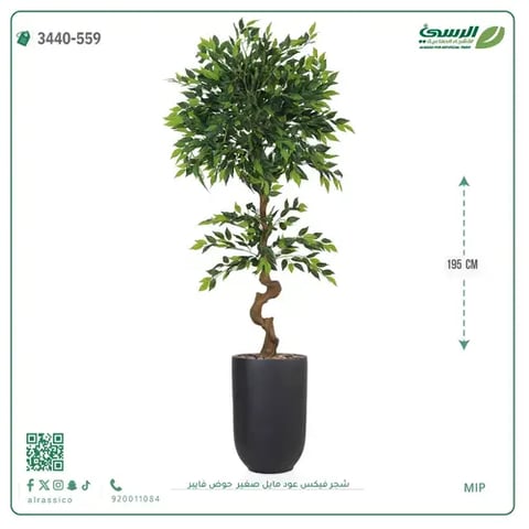 شجرة فيكس عود مائل صغيرة صناعية (ارتفاع 195 سم) حوض فيبر