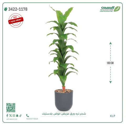 شجرة ذرة صناعية ( ارتفاع 180 سم ) حوض بلاستيك