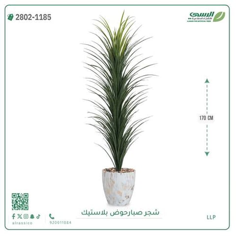 شجرة صبار صناعية ( ارتفاع 170 سم ) حوض بلاستيك رخامي