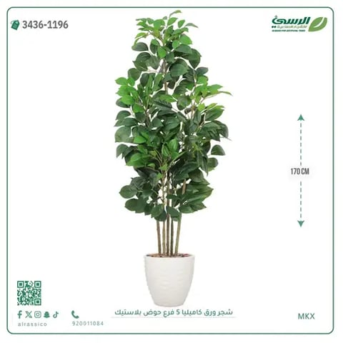 شجرة كاميليا صناعية (ارتفاع 170 سم) بحوض بلاستيك