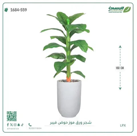 شجرة ورق موز صناعية ( ارتفاع 160 سم ) حوض فيبر