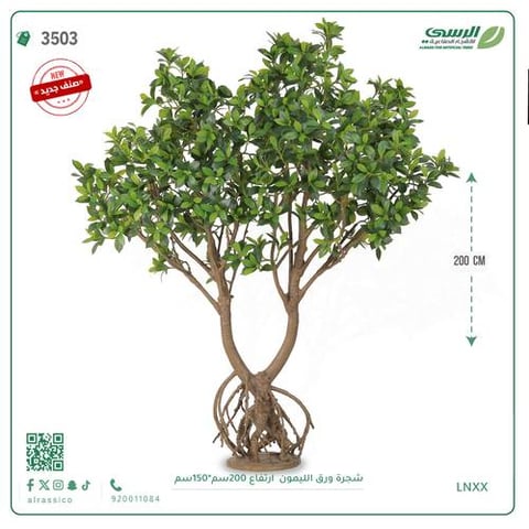 شجرة ورق ليمون صناعية ( ارتفاع 200 سم ) 