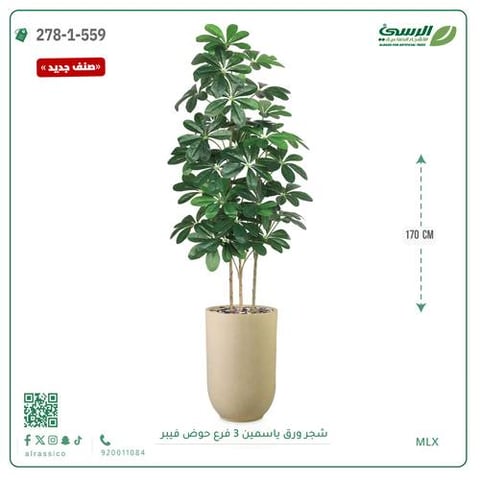 شجرة ورق ياسمين صناعية 3 فروع (ارتفاع 170 سم) حوض فيبر
