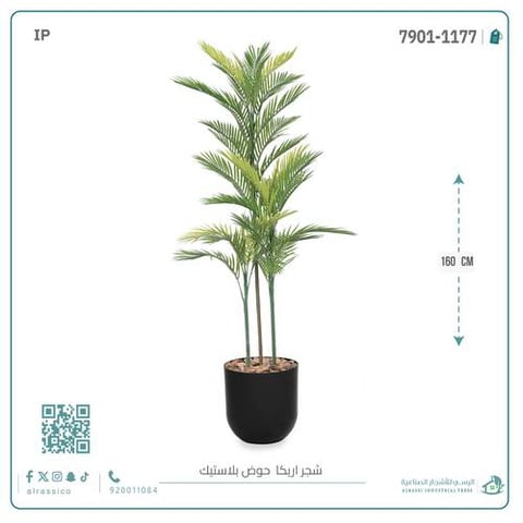 نخلة أريكا صناعية ( ارتفاع 160 سم ) حوض بلاستيك أسطواني