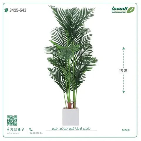 شجر أريكا صناعية ( ارتفاع 175 سم ) حوض فيبر