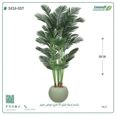 شجرة أريكا صناعية 21 فرع (ارتفاع 200 سم) حوض فيبر