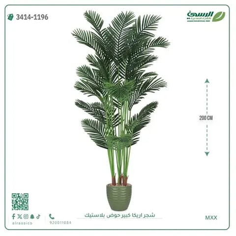 شجر أريكا صناعية ( ارتفاع 200 سم ) حوض بلاستك