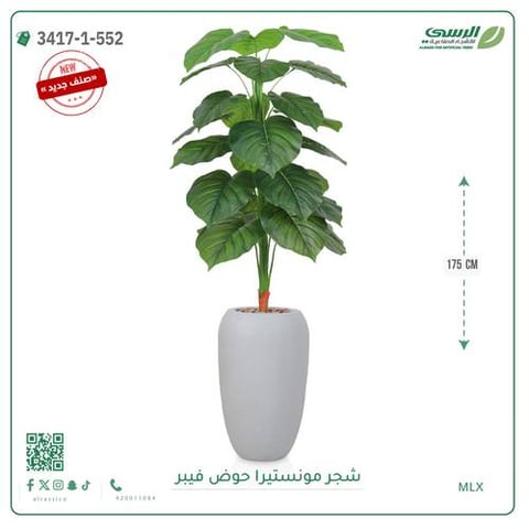 شجرة مونستيرا صناعية ( ارتفاع 175 سم ) حوض فيبر
