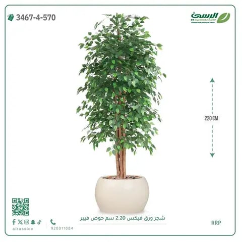 شجر فيكس صناعية (ارتفاع 220 سم) حوض فيبر