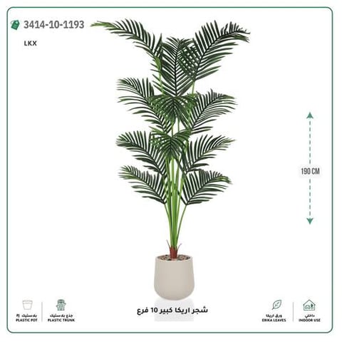 شجر أريكا صناعية 10 فروع (ارتفاع 190 سم) حوض بلاستيك
