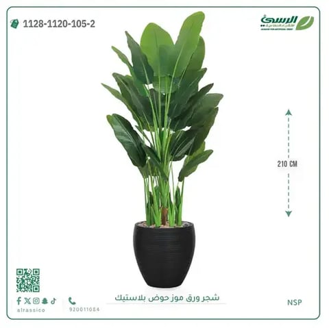 شجرة ورق موز صناعية ( ارتفاع 210 سم ) حوض بلاستيك