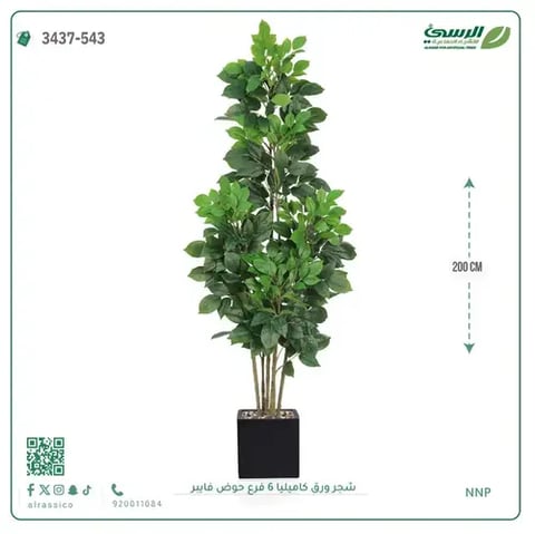 شجرة كاميليا صناعية (ارتفاع 200 سم) 6 فروع حوض فيبر