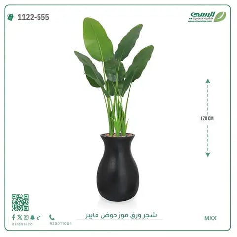 شجرة موز صناعية ( ارتفاع 170 سم ) حوض فيبر