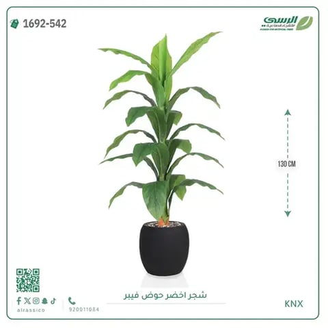 شجرة ورق ذرة صناعية (ارتفاع 130 سم) بحوض فيبر