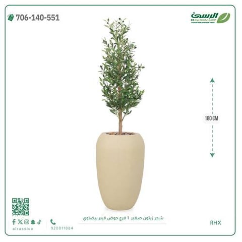 شجرة الزيتون الصناعية (ارتفاع 180 سم) حوض فيبر