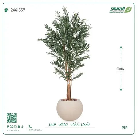 شجر زيتون صناعية ( ارتفاع 200 سم ) حوض فيبر