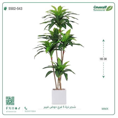 شجرة ذرة صناعية (5 فروع) ارتفاع 195 سم حوض فيبر