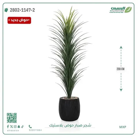 شجرة صبار صناعية ( ارتفاع 200 سم ) حوض بلاستك