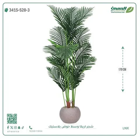 شجر أريكا صناعية ( ارتفاع 170 سم ) حوض بلاستك