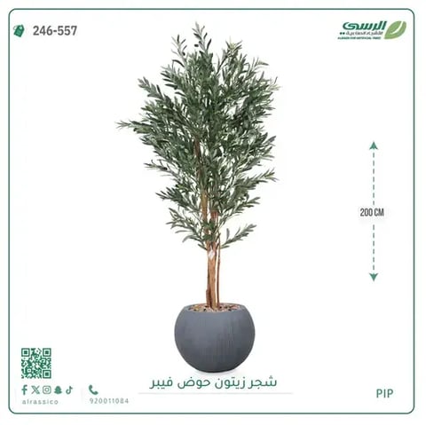 شجر زيتون صناعية ( ارتفاع 200 سم ) حوض فيبر