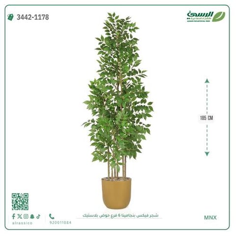 شجرة فيكس بنجامينا صناعية 6 فروع (ارتفاع 185 سم) حوض بلاستيك