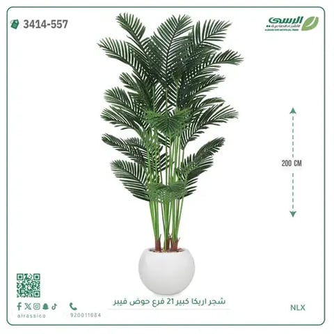 شجرة أريكا صناعية 21 فرع (ارتفاع 200 سم) حوض فيبر