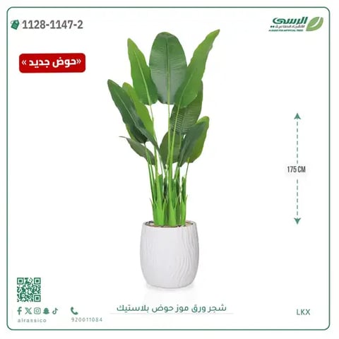 شجرة موز صناعية ( ارتفاع 175 سم ) حوض بلاستيك