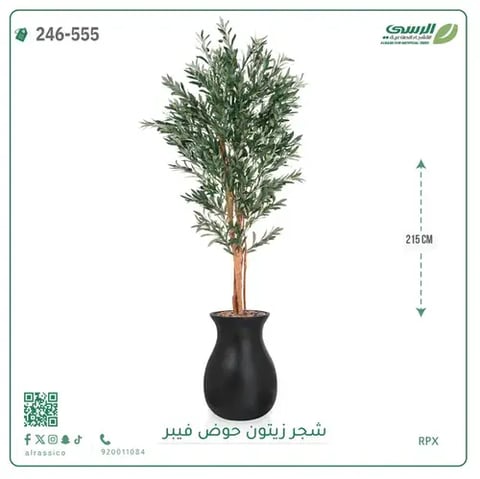شجر زيتون صناعية ( ارتفاع 215 سم ) حوض فيبر