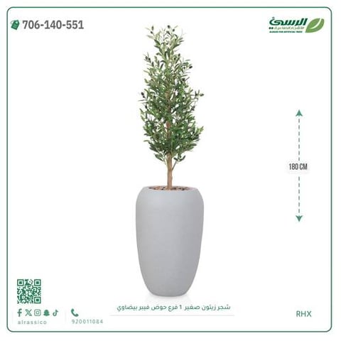 شجرة الزيتون الصناعية (ارتفاع 180 سم) حوض فيبر