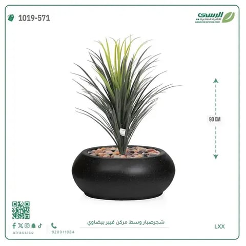 شجر صبار صناعية (ارتفاع 90 سم) بحوض فيبر