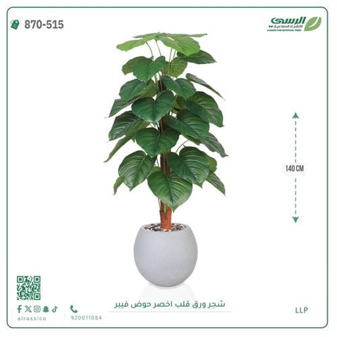 شجرة ورق قلب(ألوكاسيا) اصطناعية ( ارتفاع 140سم ) بمركن فيبر 
