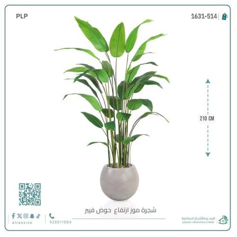 شجرة عصفور الجنة الاصطناعية الكبيرة بمركن فيبر دائرى 