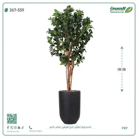 شجرة ليمون صناعية جذع طبيعي (ارتفاع 190 سم) حوض فيبر