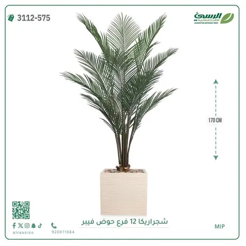 شجرة أريكا صناعية 12 فرع (ارتفاع 170 سم) حوض فيبر