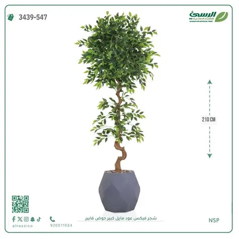 شجرة فيكس صناعية عود مائل (ارتفاع 210 سم) حوض فيبر