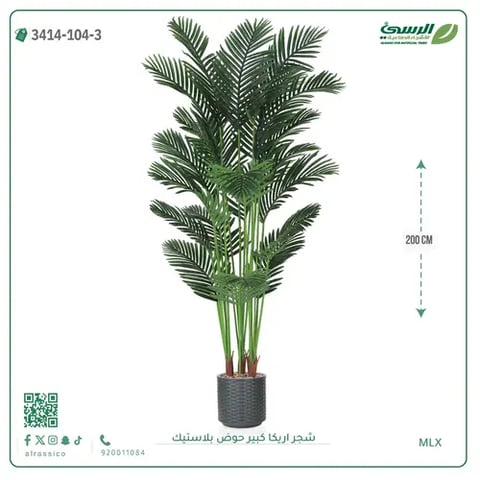 شجر أريكا صناعية ( ارتفاع 200 سم ) حوض بلاستك