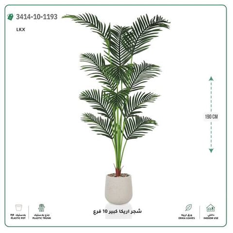 شجر أريكا صناعية 10 فروع (ارتفاع 190 سم) حوض بلاستيك