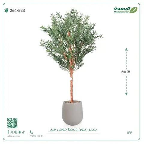 شجرة زيتون صناعية (ارتفاع 210 سم) بحوض فيبر